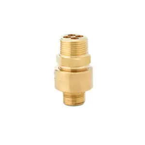 204100 -Check Valve