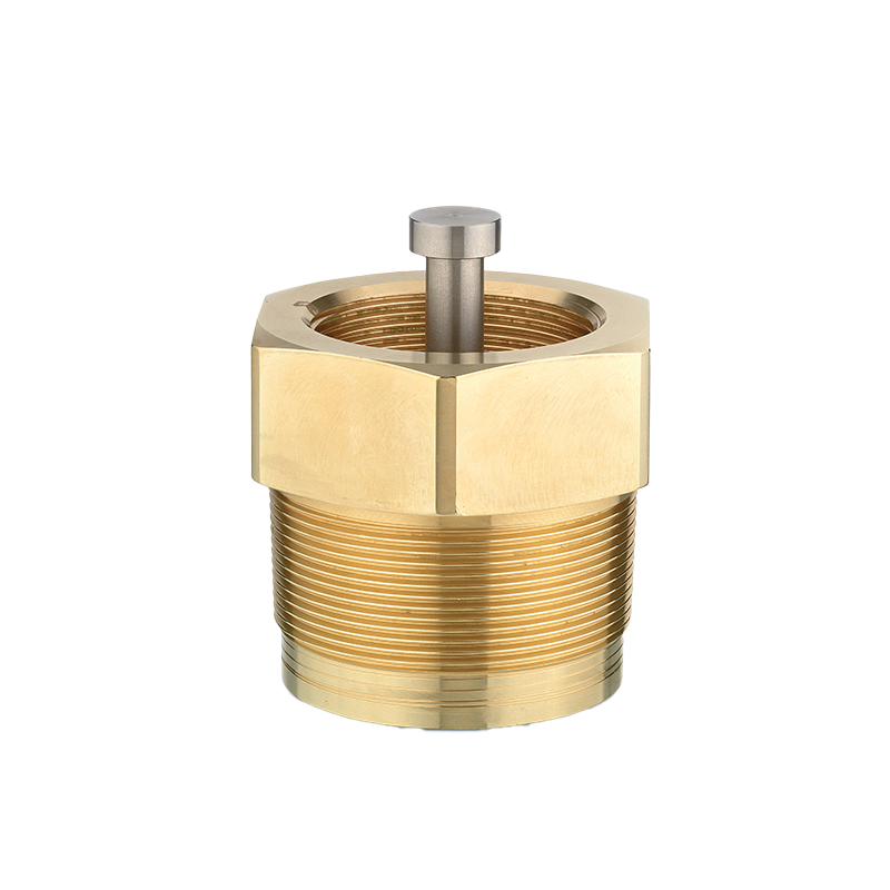 304100 -Check Valve for B0481 valves series
